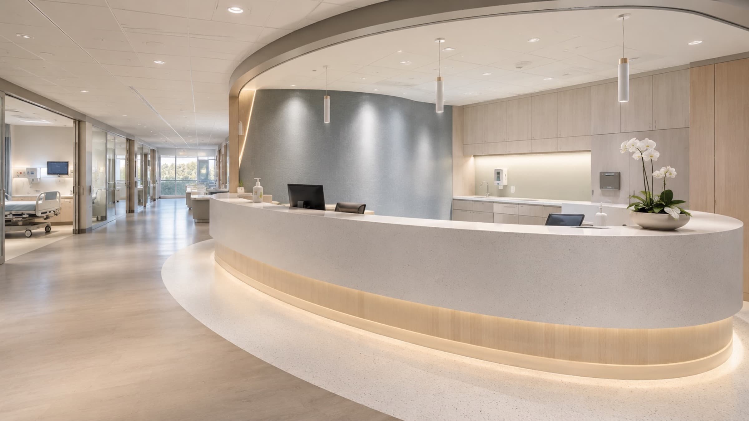 Healthcare / Hospital reception